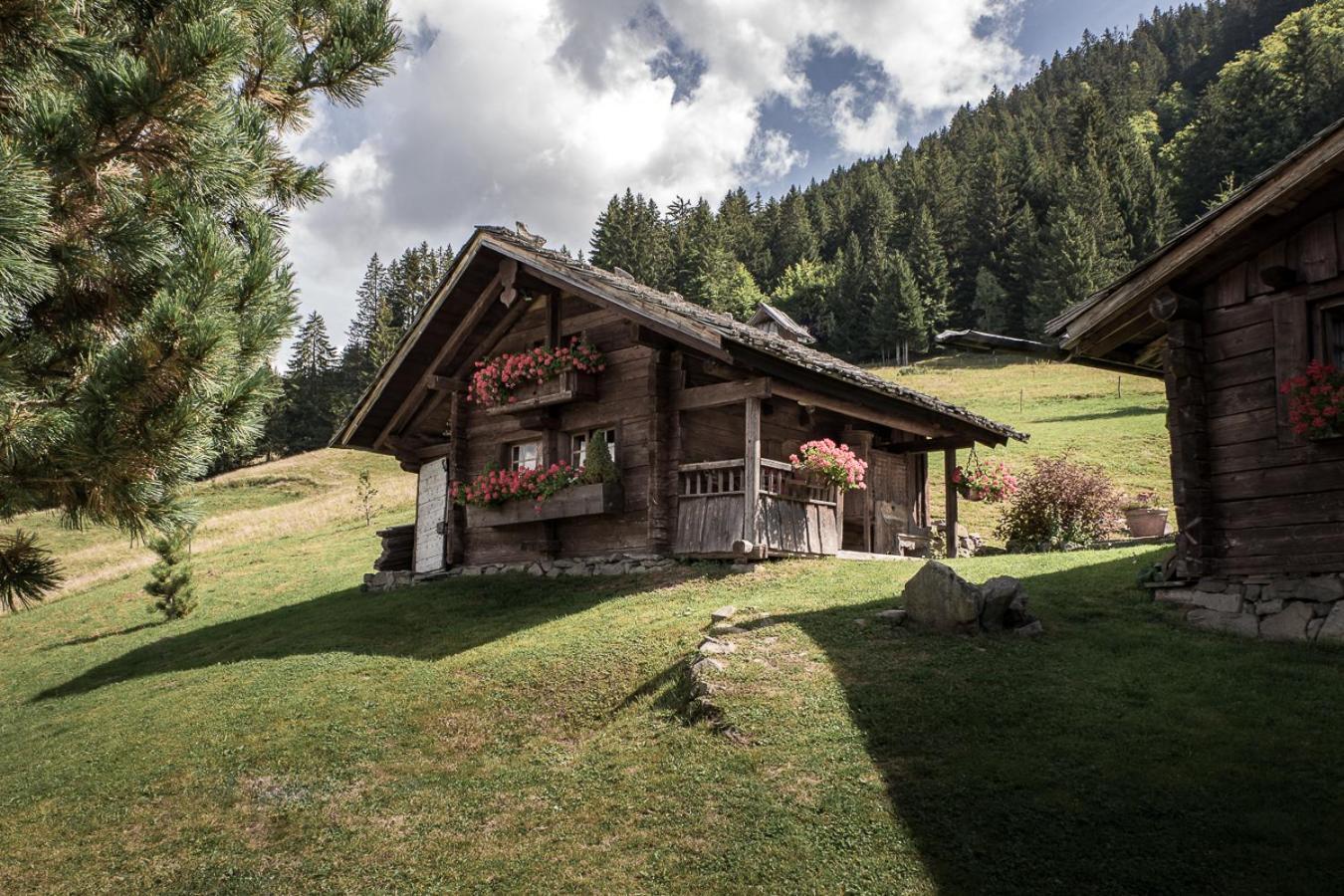 La Ferme Des Vonezins Hotell Thônes Eksteriør bilde